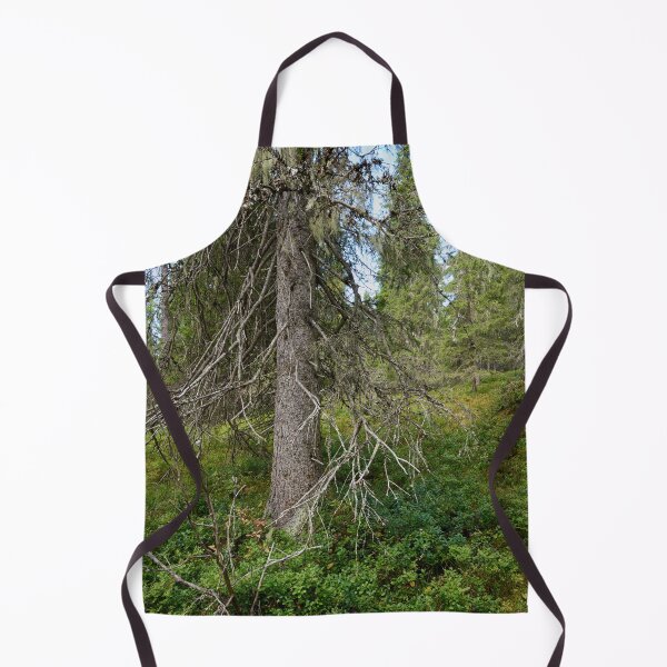 Item preview, Old spruce. Valtavaara 2025 number 4 designed and sold by Jouko Lehto Photography.