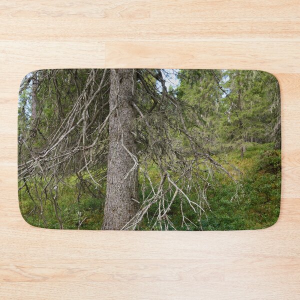 Item preview, Old spruce. Valtavaara 2025 number 4 designed and sold by Jouko Lehto Photography.