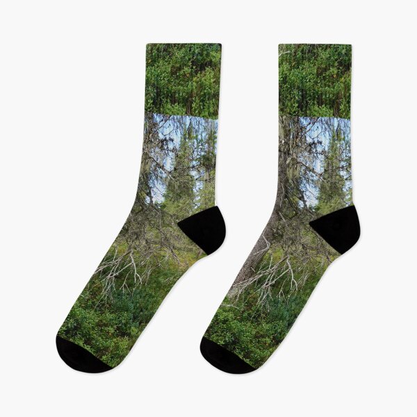 Item preview, Old spruce. Valtavaara 2025 number 4 designed and sold by Jouko Lehto Photography.