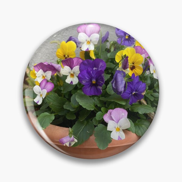 Item preview, elegant viola pot designed and sold by Ponted.