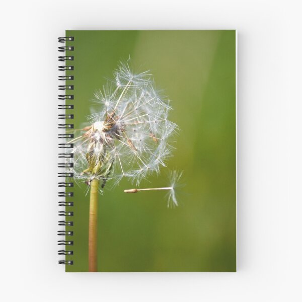 Item preview, Dandelion designed and sold by Nick Jermy.