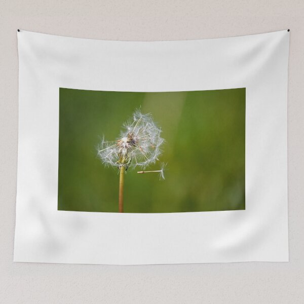 Item preview, Dandelion designed and sold by Nick Jermy.
