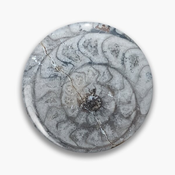 Item preview, Ancient Ammonite Fossil Spiral Stone Pattern designed and sold by PEACELOVERSART.