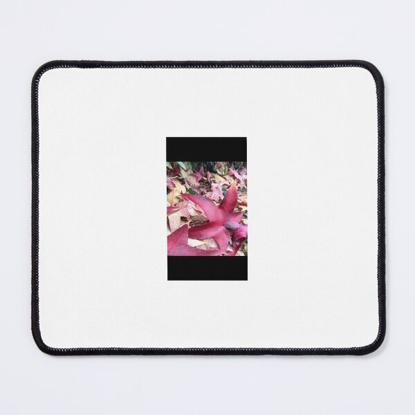 Item preview, „Bunter Herbst –Blätter im Park“ : „Colorful Autumn – Benches and Swing in the Park“ designed and sold by Yaroplanner.