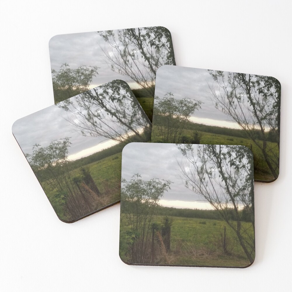 Item preview, Coasters (Set of 4) designed and sold by BWFields.