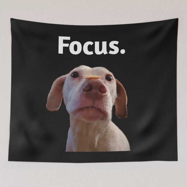 Item preview, Dog Trick designed and sold by J+J Photography.