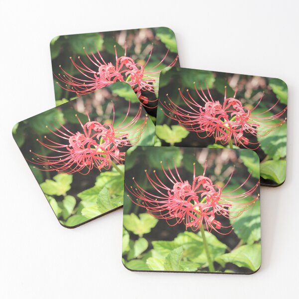 Item preview, Vibrant Red Spider Lily Bloom designed and sold by Cynthia48.