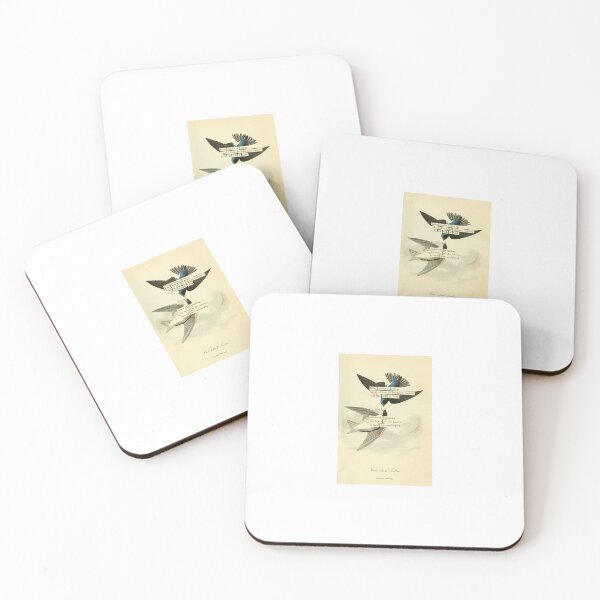 Item preview, Bird Divination: White-bellied Swallow (almanacofbirds.org) designed and sold by mariapopova.