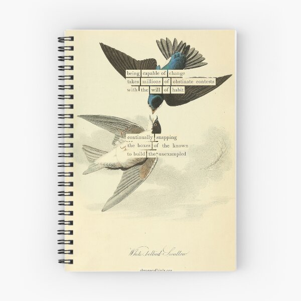 Item preview, Adivinación de aves: Golondrina de vientre blanco (almanacofbirds.org) designed and sold by mariapopova.
