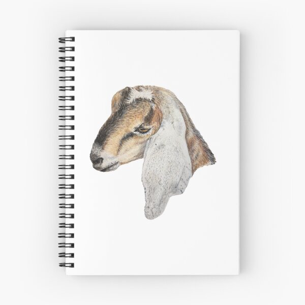 Item preview, Bonnie - Anglo Nubian Goat Kid designed and sold by Anne Fries.