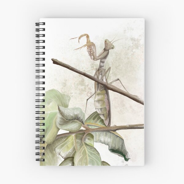 Item preview, Praying Mantis~Watercolor designed and sold by ArtbyMparrish .