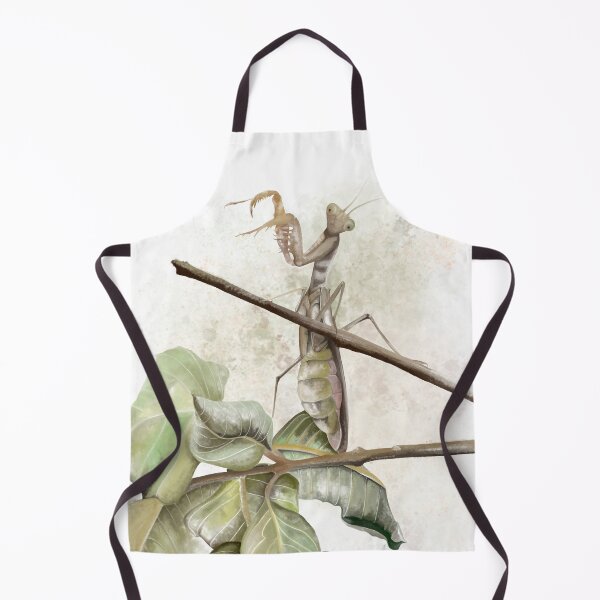 Item preview, Praying Mantis~Watercolor designed and sold by ArtbyMparrish .