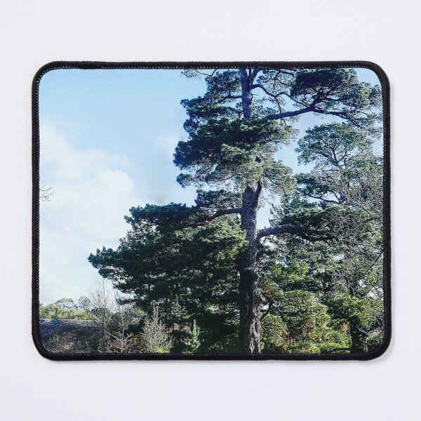 Item preview, The Riddells Creek Lake (5) = One of the Original's designed and sold by Larry Davis.