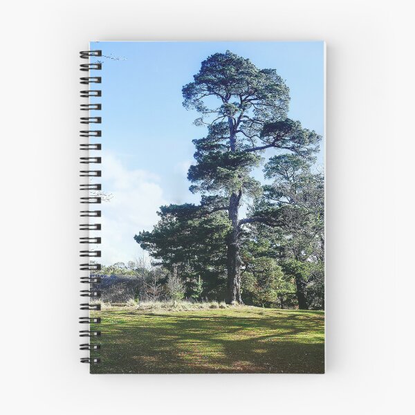 Item preview, The Riddells Creek Lake (5) = One of the Original's designed and sold by Larry Davis.