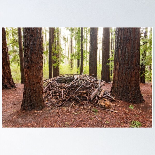 Item preview, Wild and Woven designed and sold by Linda Lees.