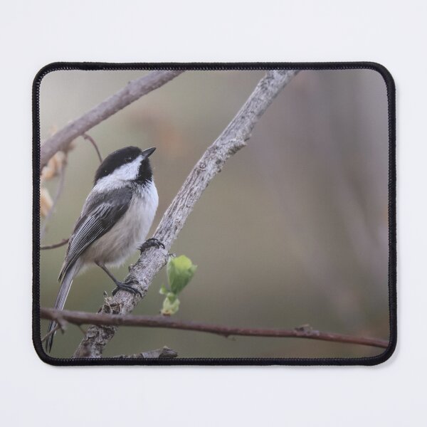 Item preview, Perched Bird designed and sold by CollinPics.