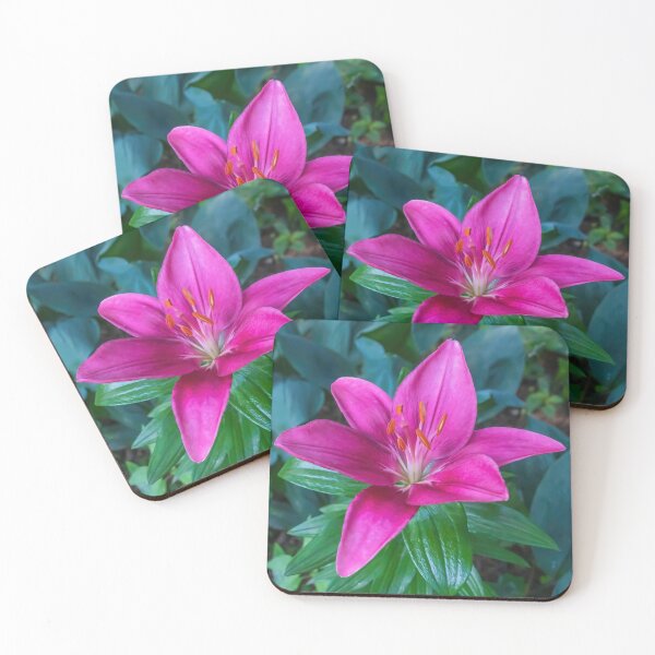 Item preview, Beautiful, Bright, Hot Pink Colored Asiatic Lily in Full Bloom designed and sold by LINDA MCKUSICK.