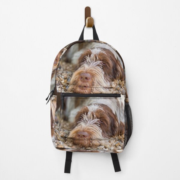 Item preview, Lying Down Brown Roan Spinone by heidiannemorris © designed and sold by FOLK ART FUSION by heidiannemorris.