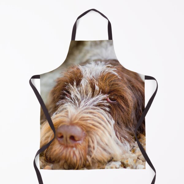 Item preview, Lying Down Brown Roan Spinone by heidiannemorris © designed and sold by FOLK ART FUSION by heidiannemorris.