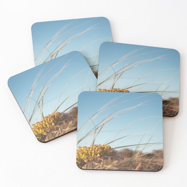 Item preview, Plantas de verano designed and sold by CollinPics.