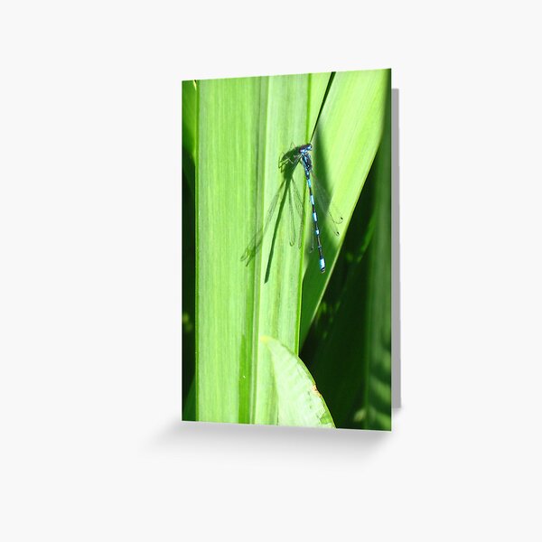 Blue Waterlady and her shade Greeting Card