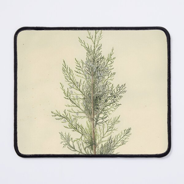 Item preview, Botanical-Juniper designed and sold by HaloPaxton.