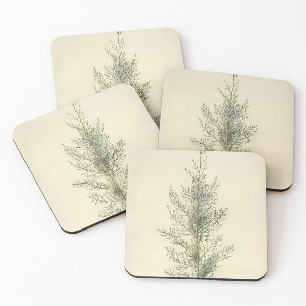 Item preview, Botanical-Juniper designed and sold by HaloPaxton.