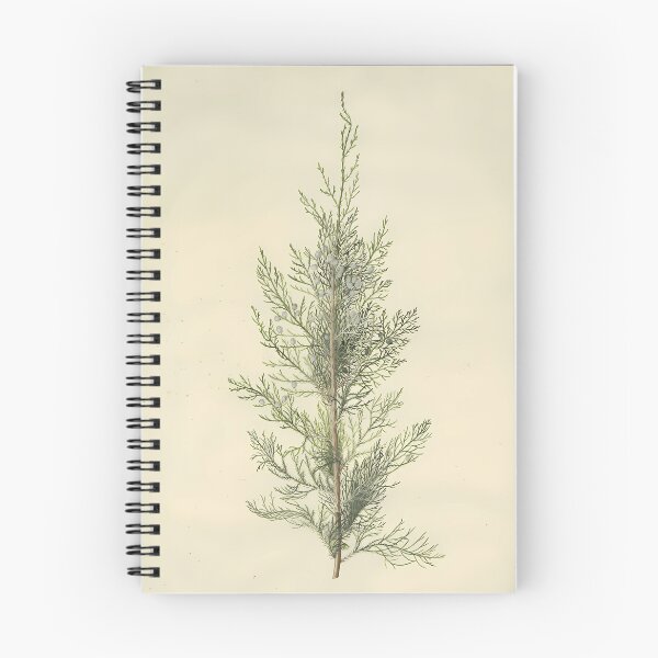 Item preview, Botanical-Juniper designed and sold by HaloPaxton.