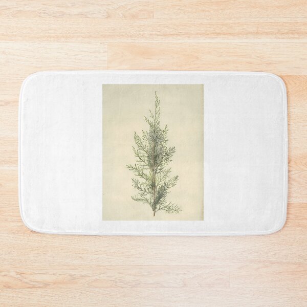 Item preview, Botanical-Juniper designed and sold by HaloPaxton.