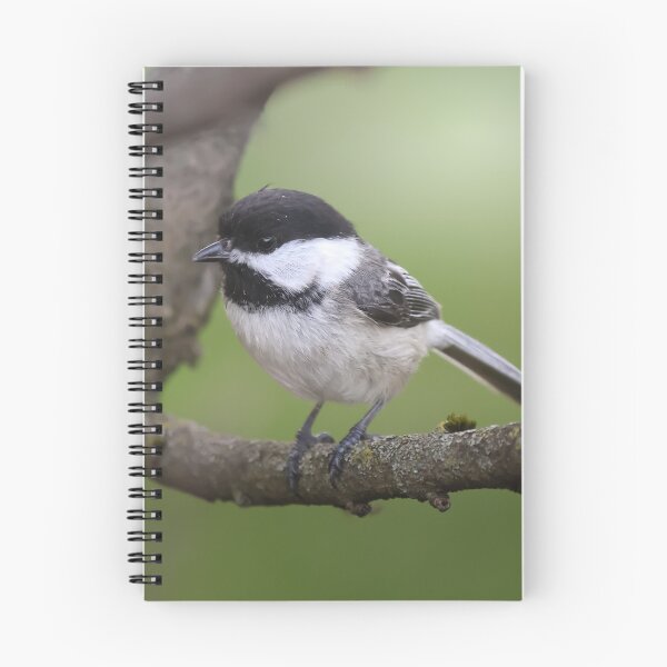 Item preview, Bird Perched designed and sold by CollinPics.