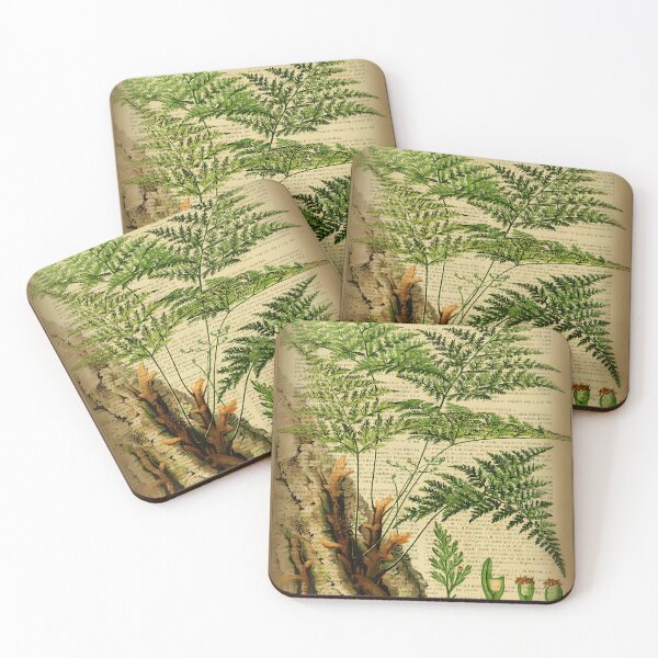 Item preview, Botanical-Print-On-Old-Book-Page---Fern designed and sold by DailynTighe.