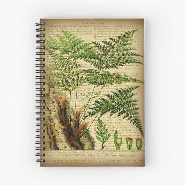 Item preview, Botanical-Print-On-Old-Book-Page---Fern designed and sold by DailynTighe.