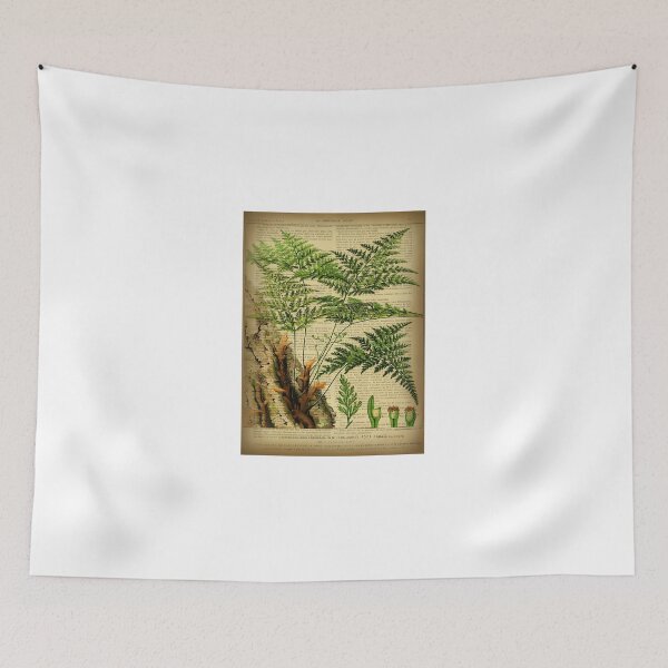 Item preview, Botanical-Print-On-Old-Book-Page---Fern designed and sold by DailynTighe.
