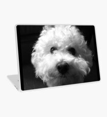 Bichon Frise - Schwarz und Weiß Laptop Folie