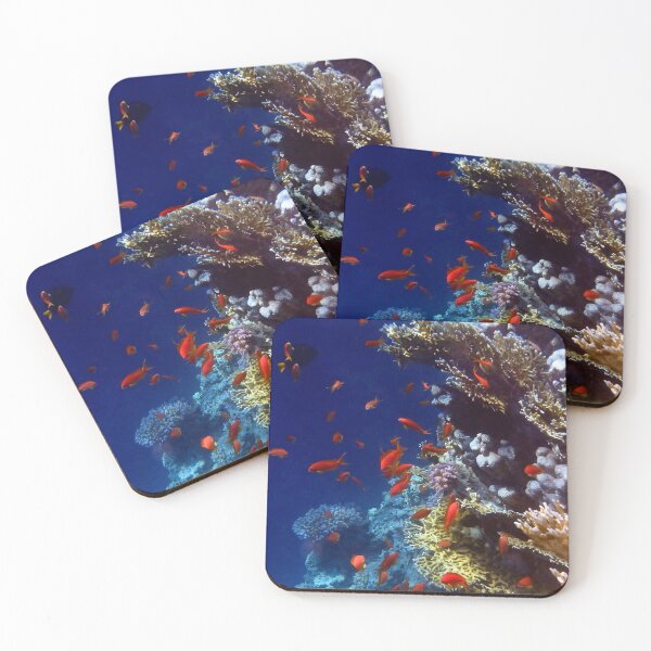 Item preview, Red Lyretail Anthias Red Sea designed and sold by hurmerinta.