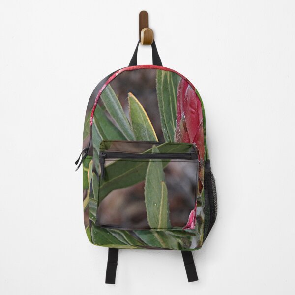 Item preview, Protea flower in bloom in the garden designed and sold by FranWest.