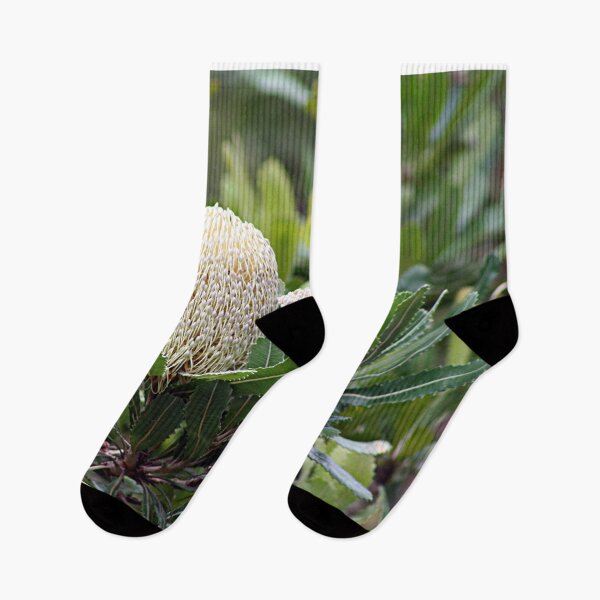 Item preview, Cream Australian banksia flower designed and sold by FranWest.