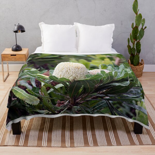 Item preview, Cream Australian banksia flower designed and sold by FranWest.