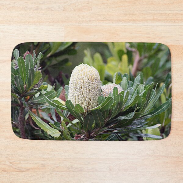 Item preview, Cream Australian banksia flower designed and sold by FranWest.