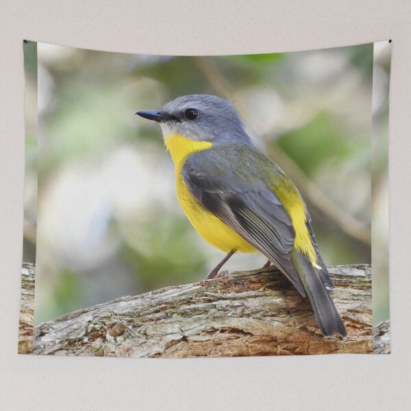 Item preview, Eastern Yellow Robin  designed and sold by Mark Grimsley.
