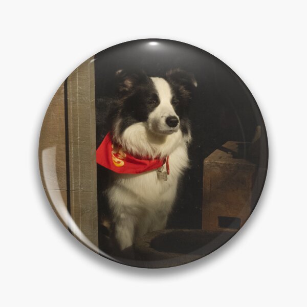 Item preview, Dog in Shop Window with Warm Light designed and sold by zum Kosmos.