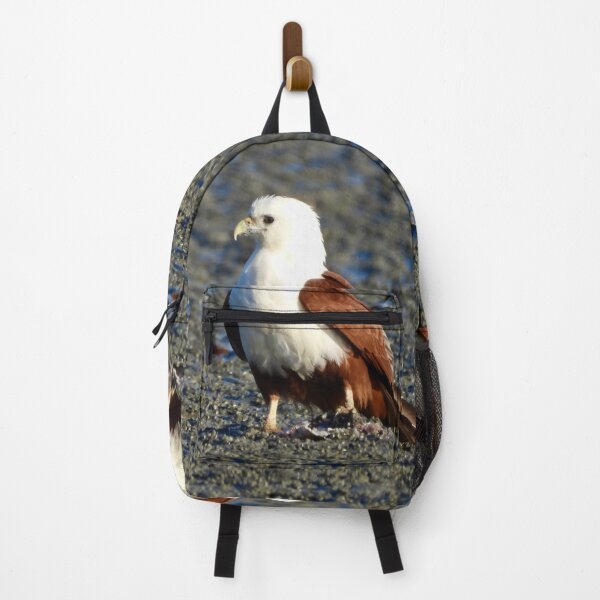 Item preview, Brahminy Kite on the low tide Dundowran Beach designed and sold by Mark Grimsley.