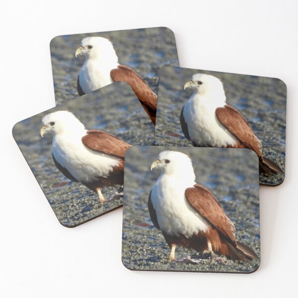 Item preview, Brahminy Kite on the low tide Dundowran Beach  designed and sold by Mark Grimsley.