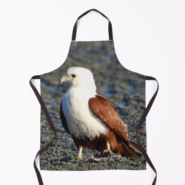 Item preview, Brahminy Kite on the low tide Dundowran Beach designed and sold by Mark Grimsley.