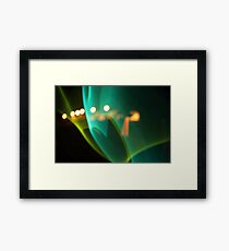 Night Butterfly Light Photo Framed Print