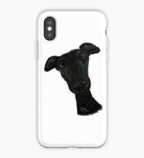 Whippet Greyhound Dog PRiNT 'Hank' by Shirley MacArthur iPhone Case