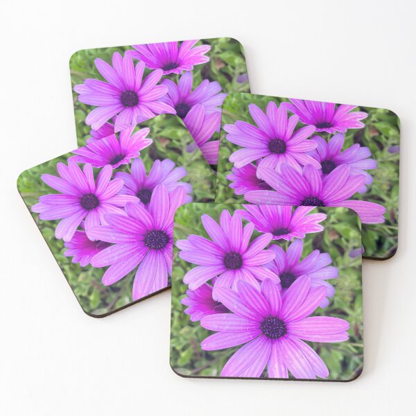 Item preview, Purple African Daisies in Full Bloom designed and sold by Be Captured by Brittany Emma.