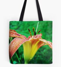Pretty Profile Tote Bag