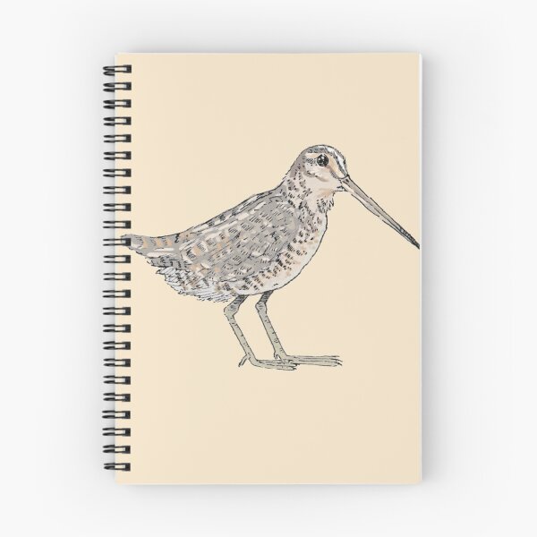 Item preview, Snipe - Wetland Birds Collection designed and sold by TadpoleShrimp.