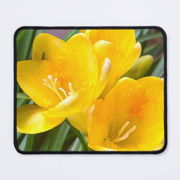 Item preview, Yellow Freesia Flowers with Green Foliage designed and sold by Be Captured by Brittany Emma.